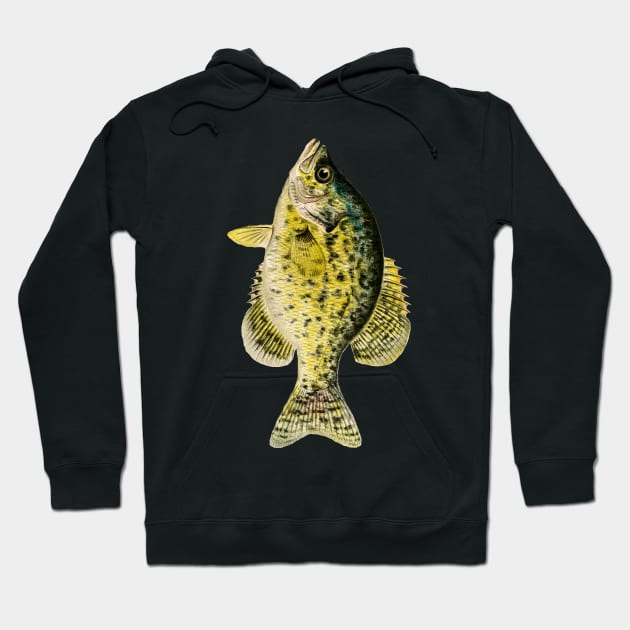 Bass Fishing Hoodie by Heartsake